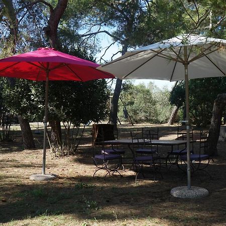 Villa Joli Mas au bord de l'étang de Thau Marseillan  Exterior foto