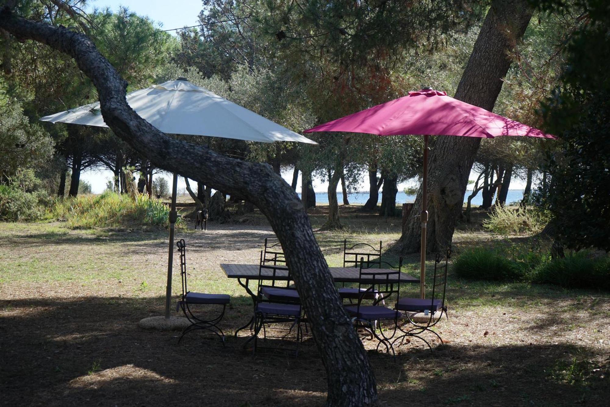 Villa Joli Mas au bord de l'étang de Thau Marseillan  Exterior foto